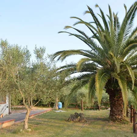 Apartment In Famiglia Relax E Natura *